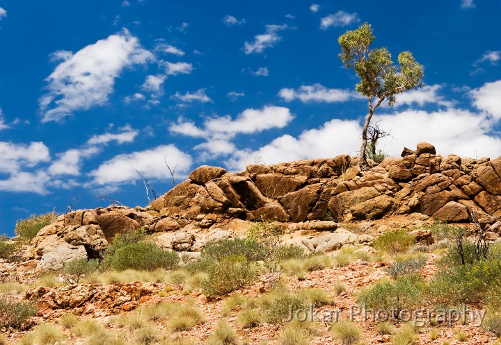 Ormiston Gorge_20070913_021.jpg